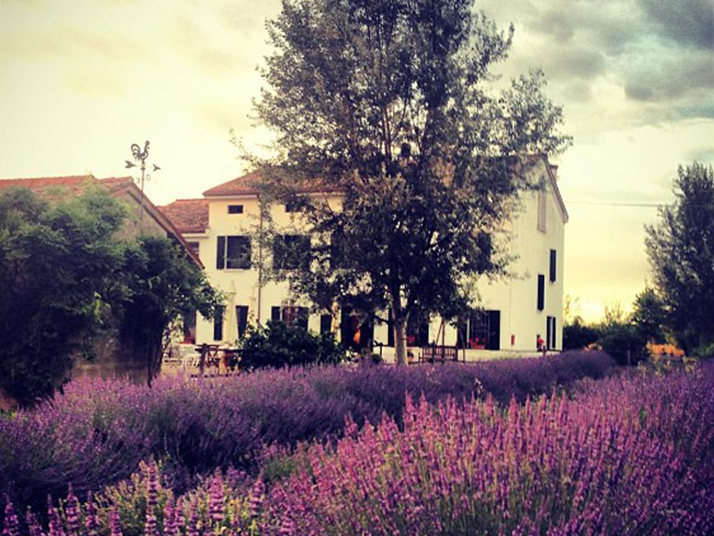 Agriturismo Viridarium Castellucchio Eksteriør billede