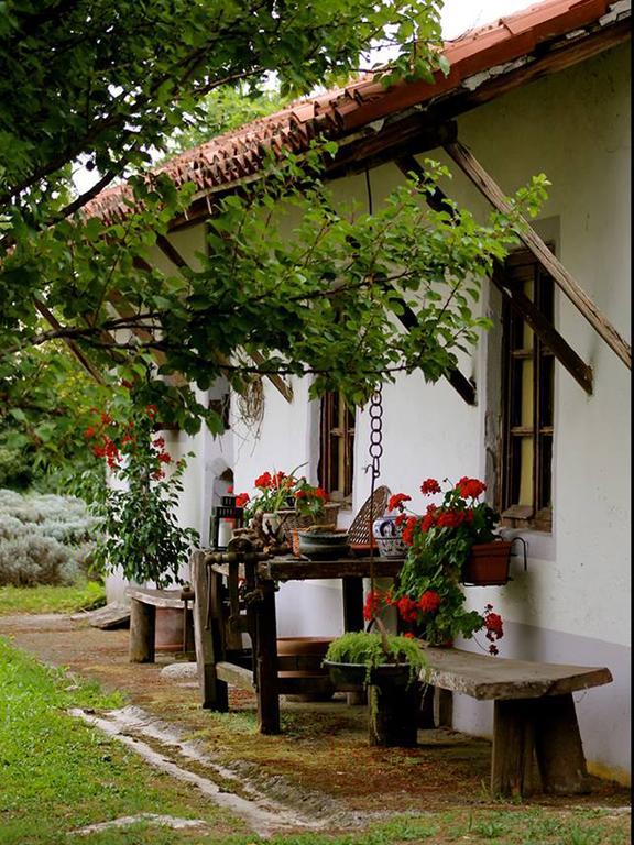 Agriturismo Viridarium Castellucchio Eksteriør billede