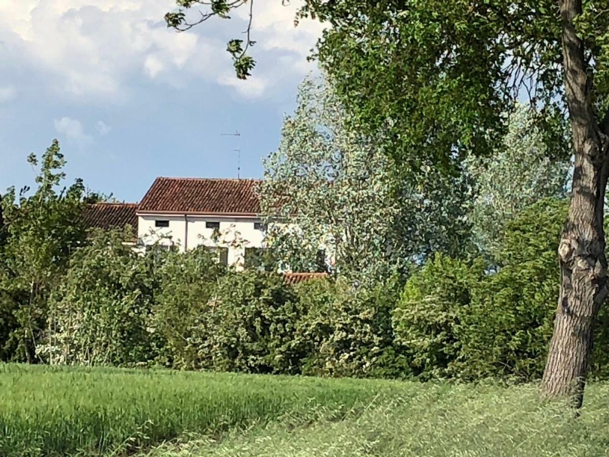 Agriturismo Viridarium Castellucchio Eksteriør billede